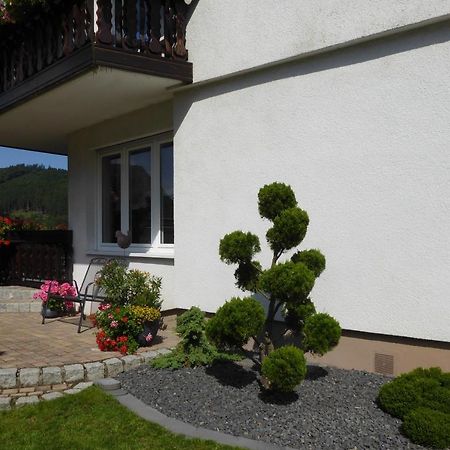 Ferienwohnung Waltraud Брилон Екстериор снимка